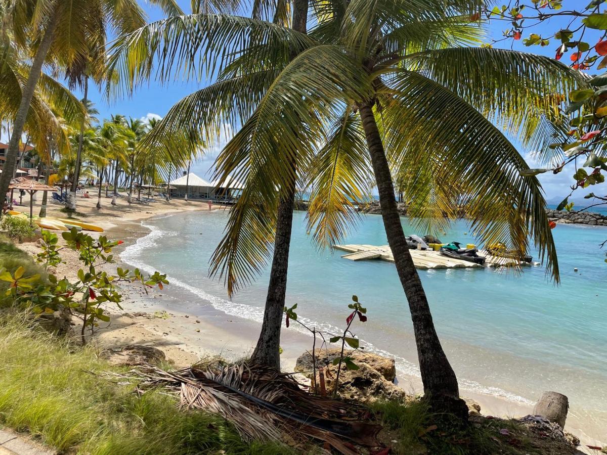 Cauris Lodge Du Marisol Vue Mer Acces Direct Plage Avec Citerne D Eau ル・ゴジエ エクステリア 写真